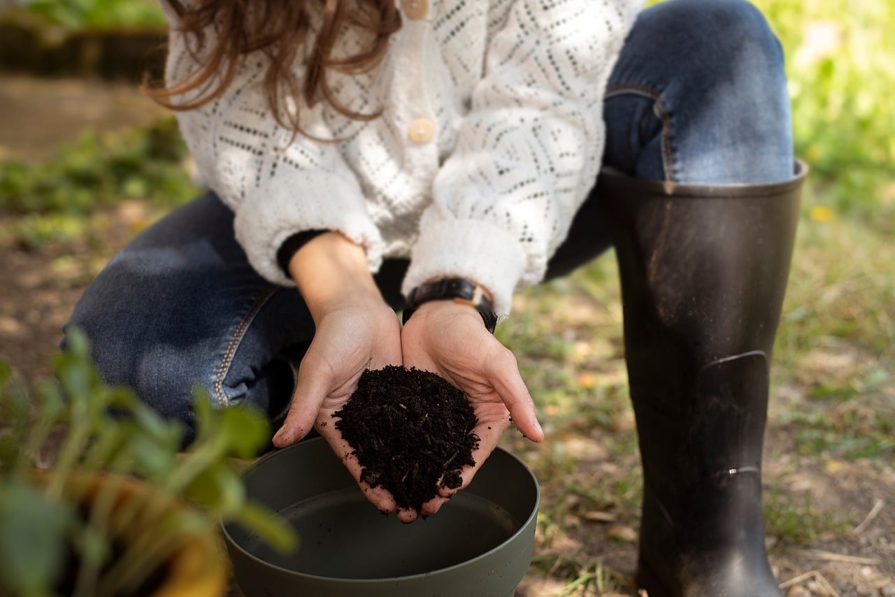 Composting Your Spending: Turning Financial Mistakes into Soil