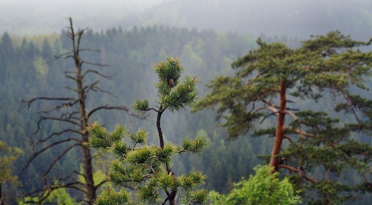 blog 4
