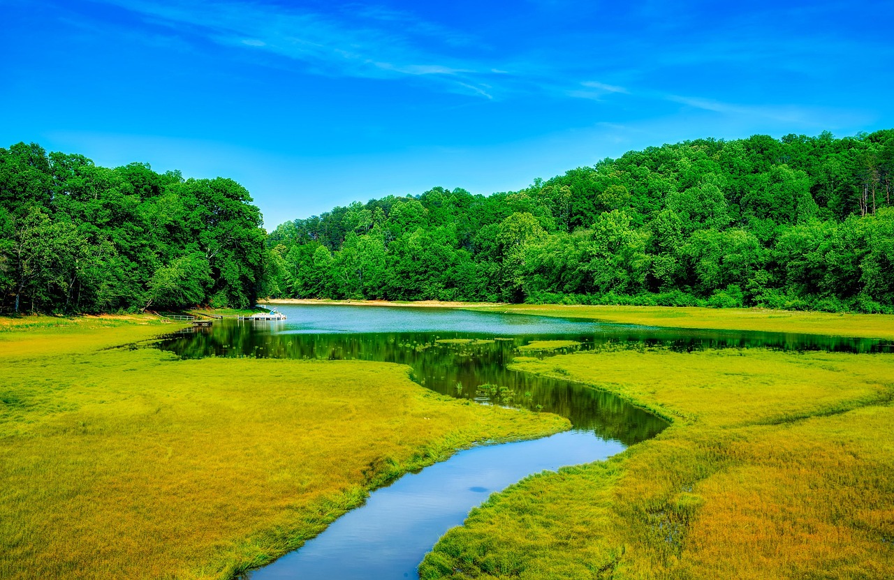 How a River Budgets Without a Spreadsheet