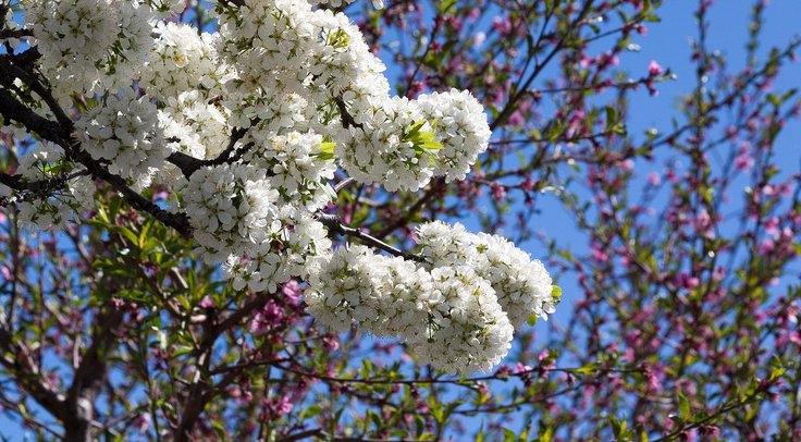 blog 5